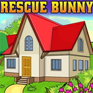 Rescue the Bunny