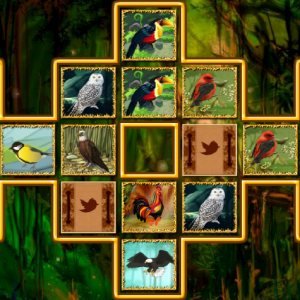 Bird Cards Match