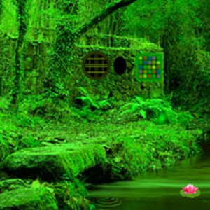 Nature Green Forest Escape